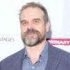 david harbour david harbour | LeftardList.com